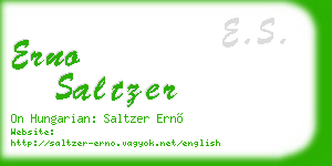 erno saltzer business card